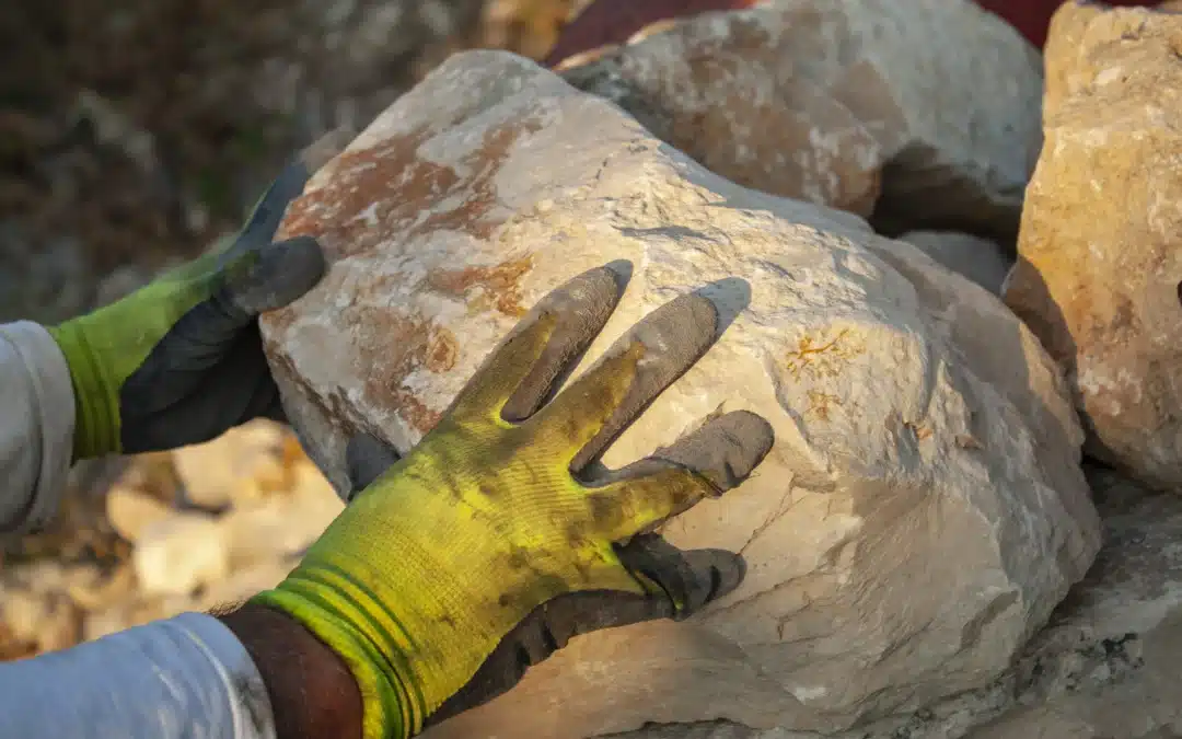 Why Choose a Local Boulders Supplier Texas for Your Landscape Projects?